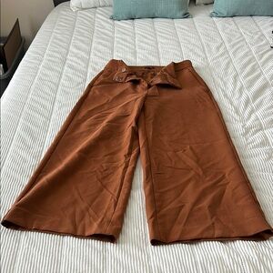 Ann Taylor Burnt Orange Work Pants